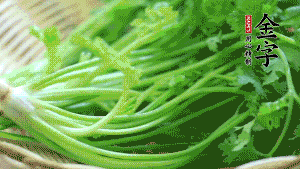 挑選鮮嫩的香菜，洗干凈后，處理成小段。